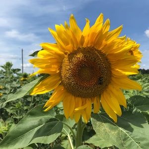 Meet your Posher, Debra